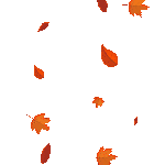 Animation-1702129857715