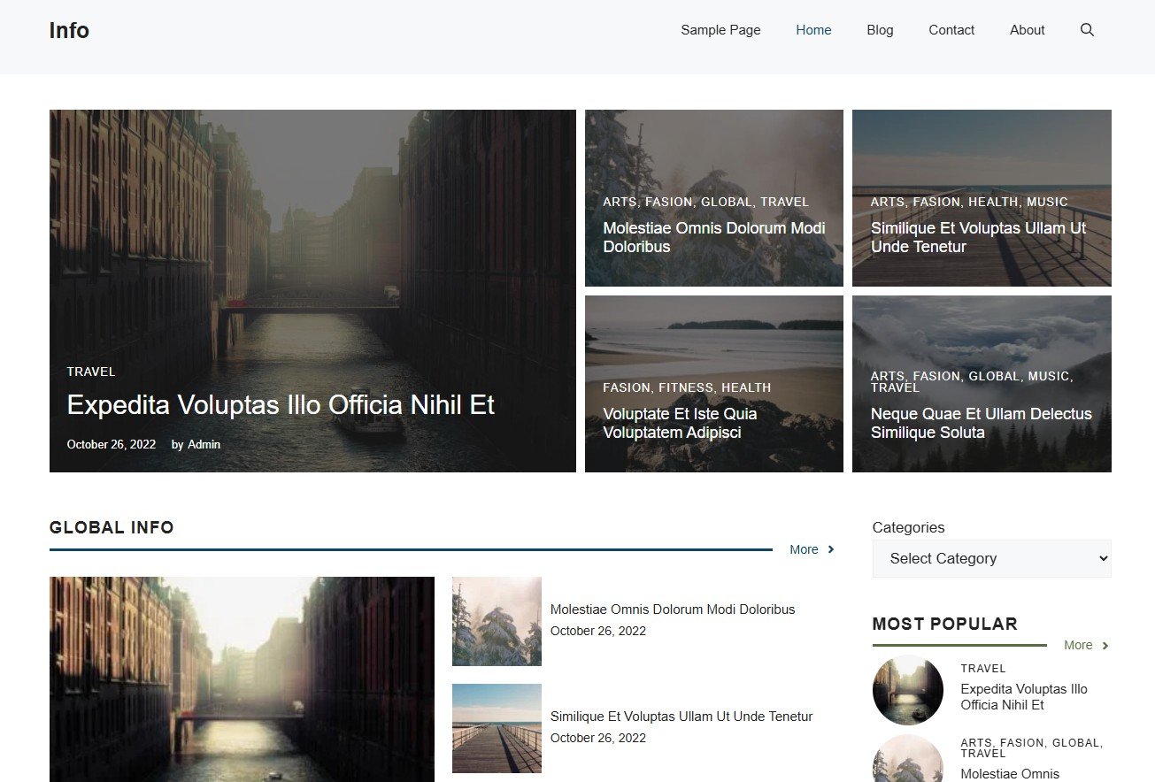 info website design screenshot